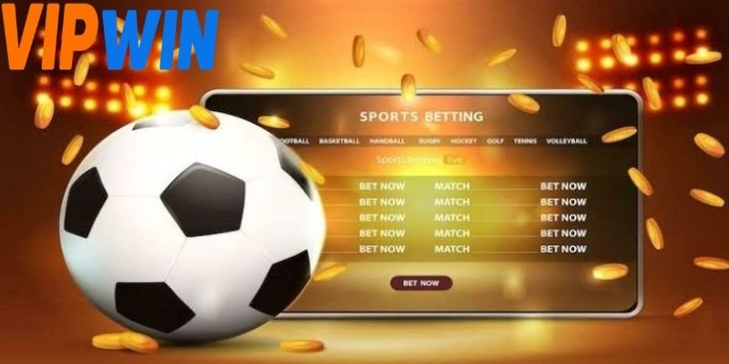 8xbet bóng đá