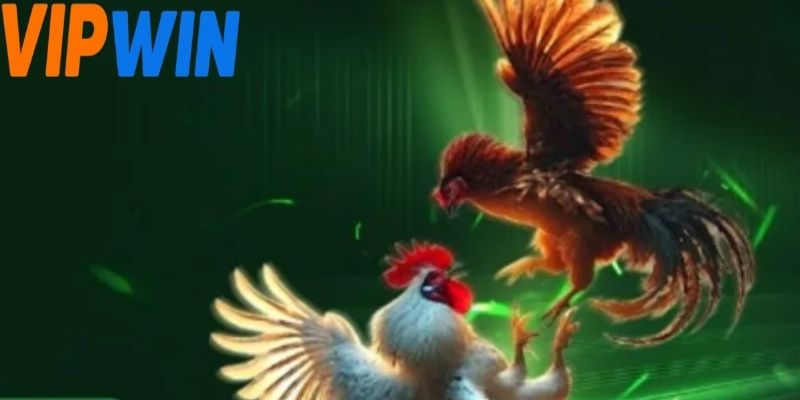 E2bet Đá Gà
