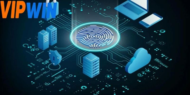 Người chơi có quyền chỉnh sửa hoặc cập nhật dữ liệu